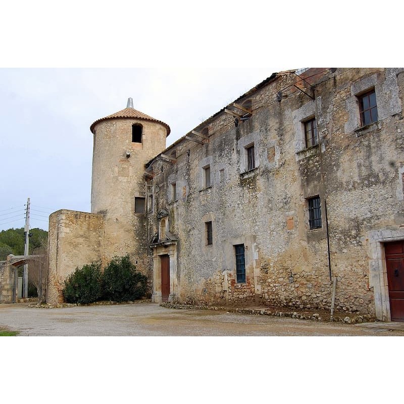 Conjunto Medieval del Castillo de Peñafort: Un Tesoro Histórico en España