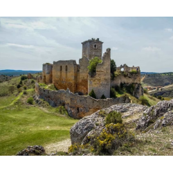 Ruinas del Castillo...