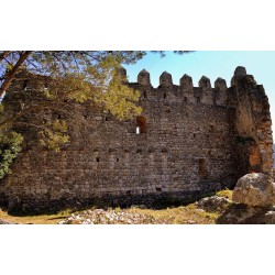 Castillo medieval derruido