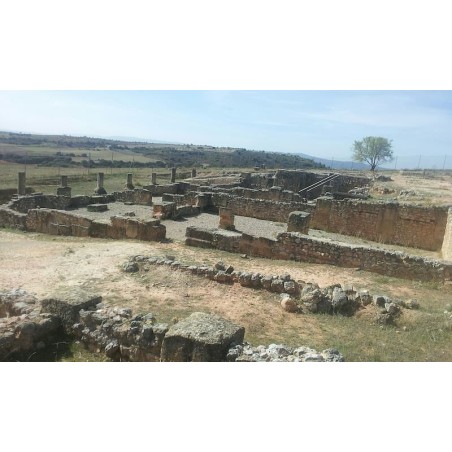 Ciudades celtibero romanas