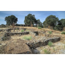 Yacimientos expoliados: castro romano de Villamiejas de Tramuja, Botija, Cáceres