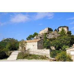 Castillo abandonado de Miralles