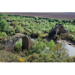 Puentes romanos en España