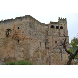 castillo palacio antiguo