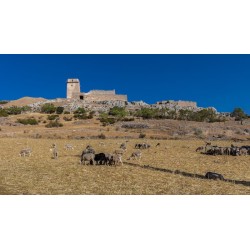 Turismo en España Castilla La Mancha