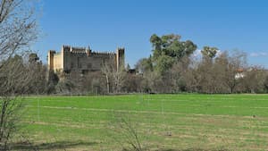 Castillo de Malpica del Tajo